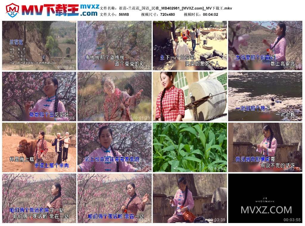 崔苗-兰花花_国语_民歌_MB402981